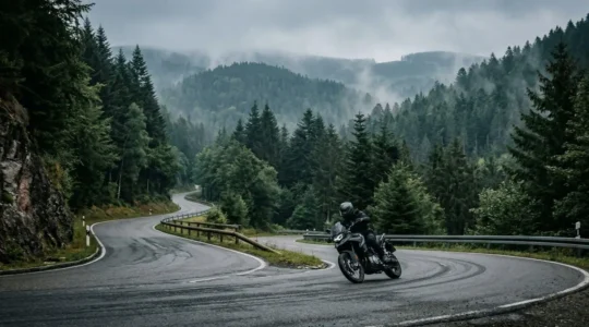 Motorradfahrer auf kurvenreicher Landstraße im Schwarzwald während einer achtsamen Fahrt zur Stressreduktion