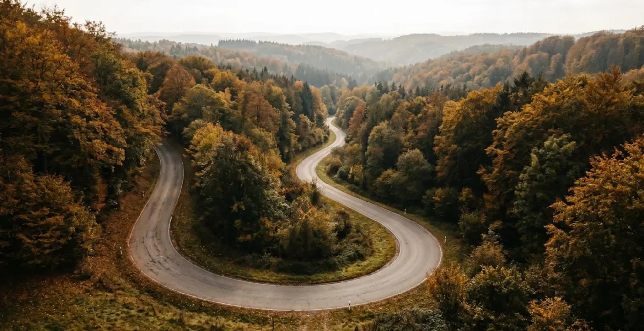 Kurvige Motorradstrecke durch deutschen Wald mit herbstlicher Atmosphäre